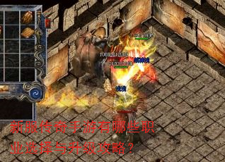 新服传奇手游有哪些职业选择与升级攻略?