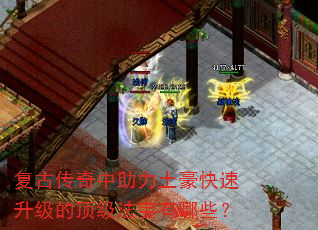 ���Ŵ����������������������Ķ�����������Щ��