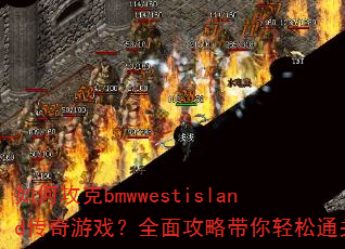 ��ι���bmwwestisland������Ϸ��ȫ�湥�Դ�������ͨ��