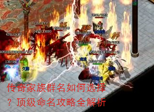 �������Ⱥ�����ѡ�񣿶�����������ȫ����