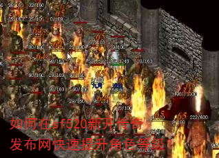 �����sf520�¿����淢��������������ɫ�ȼ���