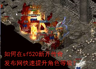 �����sf520�¿����淢��������������ɫ�ȼ���