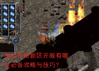 ԭʼ����������������Щ�ر������뼼�ɣ�