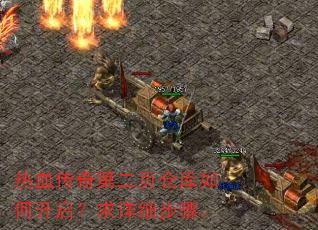 ��Ѫ����ڶ�ҳ�ֿ���ο���������ϸ���衣