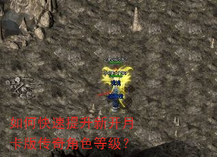 如何快速提升新开月卡版传奇角色等级? 如何快速提升新开月卡版传奇角色等级?